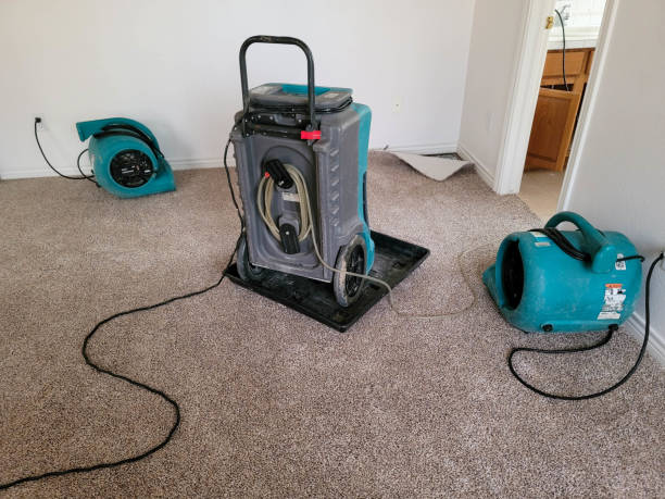  Madison Heights, MI Water damage restoration Pros