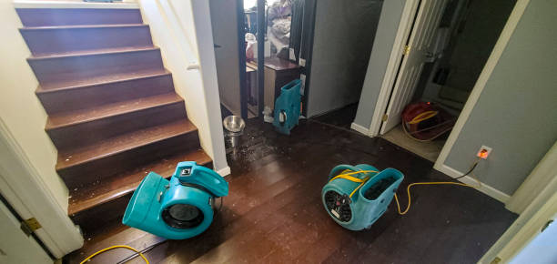 Best Fire Damage Restoration  in Madison Heights, MI