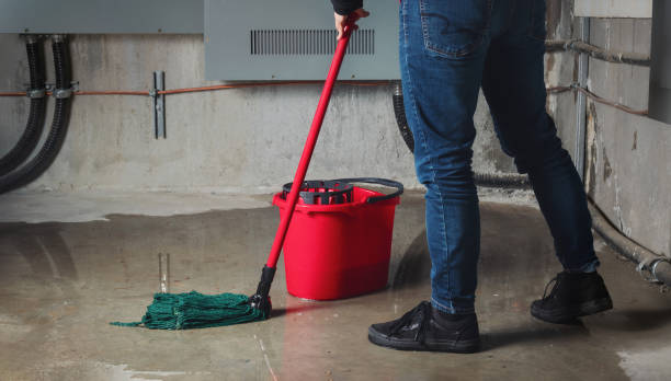 Best Sewage cleanup and water damage restoration  in Madison Heights, MI