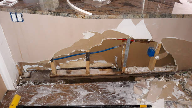 Best Basement water damage restoration  in Madison Heights, MI