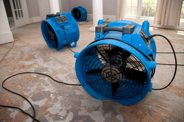 Best Commercial water damage restoration  in Madison Heights, MI