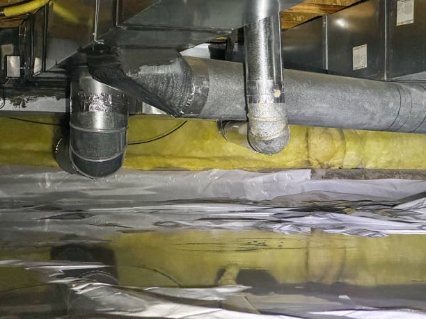 Best Flood restoration services  in Madison Heights, MI