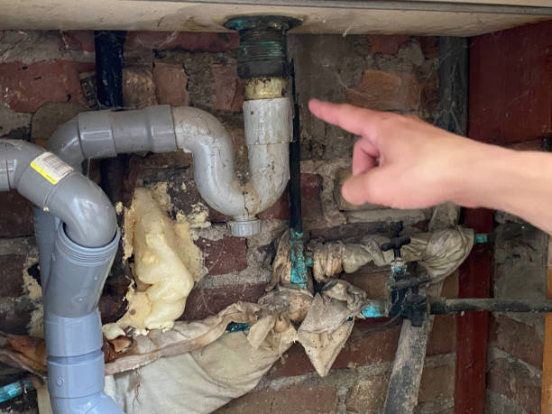 Best Water damage restoration services  in Madison Heights, MI