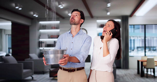 Best Flooded house restoration  in Madison Heights, MI